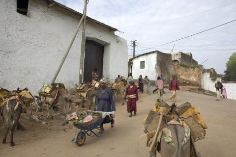 image Transportando mercancías por las calles de Harar, Etiopía