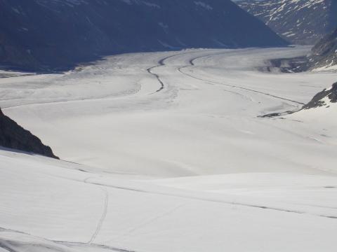 image Morrena del glaciar Aletsch, Grindelwald, Suiza