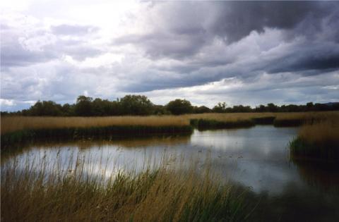 image Cielo nublado sobre la laguna, Tablas de Daimiel, Ciudad Real