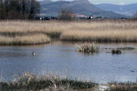image Vista de la laguna, Tablas de Daimiel, Ciudad Real