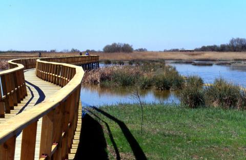 image Vista de la pasarela sobre la laguna, Tablas de Daimiel, Ciudad Real