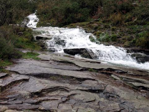 image Arroyo en el monte Larrun, Pirineos Atlánticos, Francia
