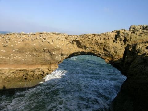image Formación rocosa sobre el mar, Biarriz, Francia