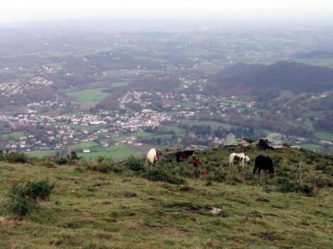 image Entorno natural del monte Larrun, Pirineos Atlánticos, Francia