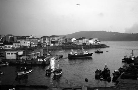 image Barcos en el puerto de Camariñas, A Coruña