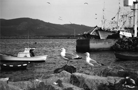image Barcos anclados en un puerto de la Costa de la Muerte, A Coruña