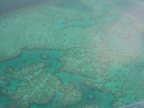 image Gran Barrera de Coral, Australia