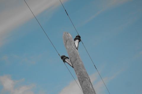 image Detalle de un poste eléctrico, Sacramenia, Segovia