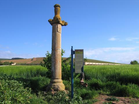 image Cruz de los Peregrinos en el Alto de la Picota, Azofra, La Rioja