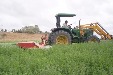 image Siega en un campo de alfalfa