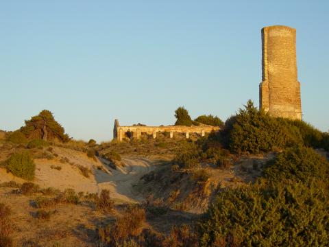 image Pozo del Inglesillo, Parque Nacional de Doñana, Huelva