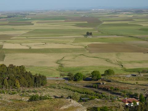 image Vega de Carmona, Sevilla