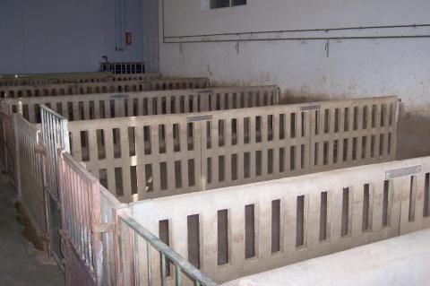 image Cochineras de matadero