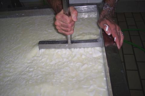 image Lira en el cuajo