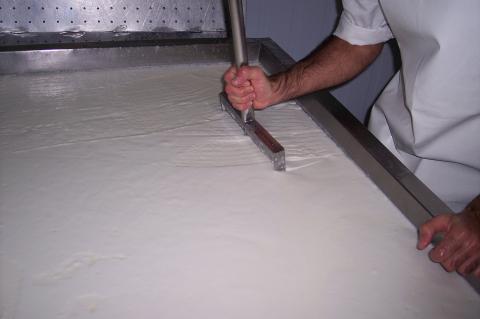 image Movimiento de la lira en el cuajo