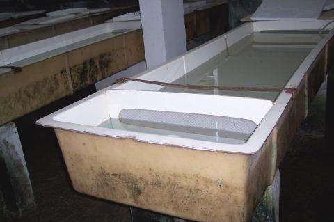 image Bañera de una piscifactoría
