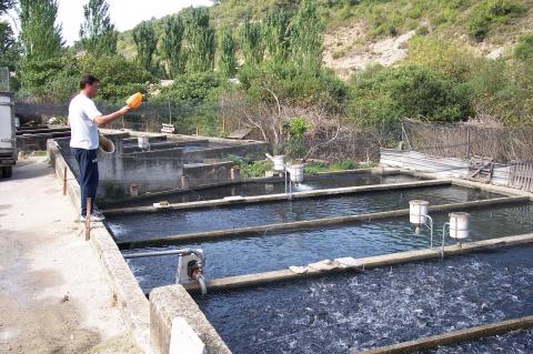 image Hombre alimentando truchas