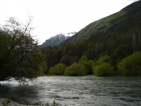image Río Manso, Provincia de Río Negro, Patagonia Andina, Argentina