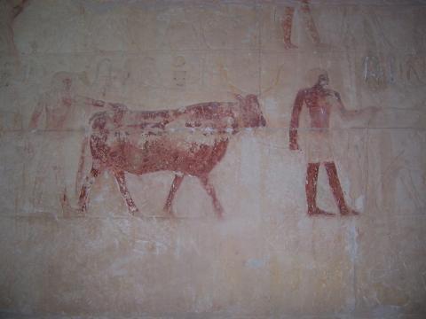 image Pintura en Sakkara, Egipto