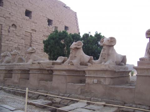 image Avenida de las esfinges, Templo de Karnak, Egipto