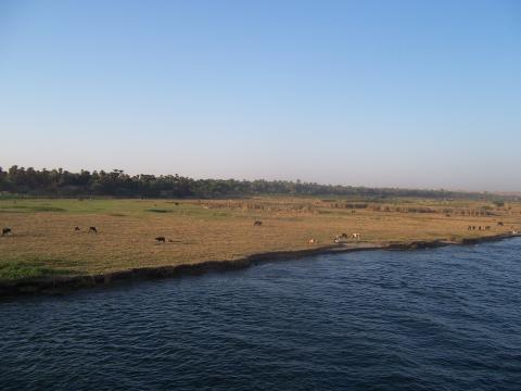 image Orillas del Nilo, Egipto