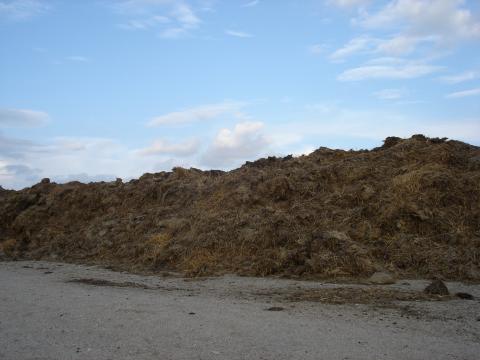 image Montón de estiércol