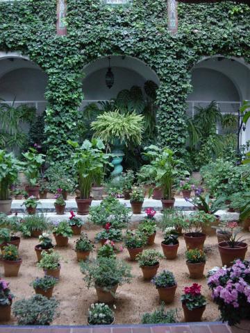 image Patio del Callejón del Agua, Barrio de Santa Cruz, Sevilla