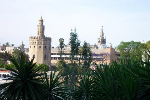 image Torre del Oro en Sevilla