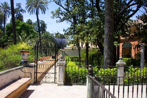 image Jardines de los Reales Alcázares de Sevilla