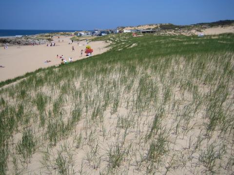 image Dunas de Liencres, Cantabria