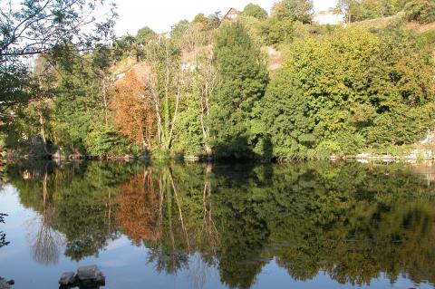 image Río Le Clain, Poitiers, Francia