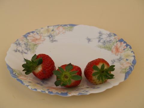 image 3 fresas