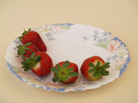 image 5 fresas