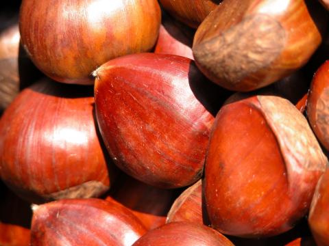 image Castañas
