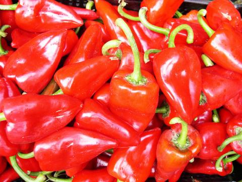 image Pimientos de piquillo