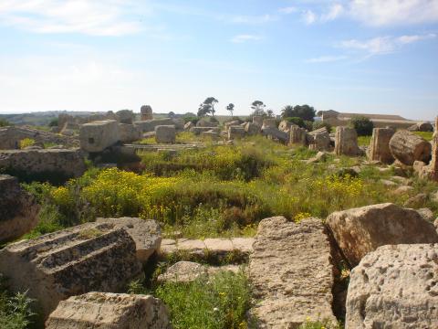 image Selinunte, Sicilia