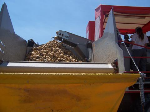 image Máquina de recolectar patatas