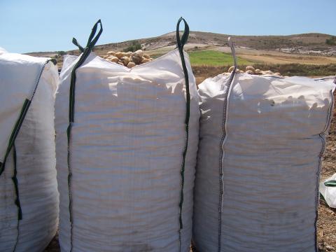 image Recolecta de patatas