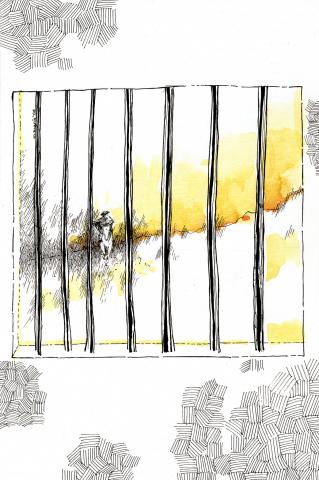 ilustracion El fin: Un punto se agitó en el horizonte y creció hasta ser un jinete, que venía, o parecía venir, a la casa