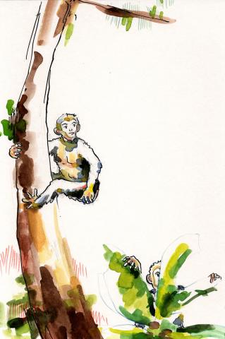 ilustracion Los viajes de Gulliver: Gulliver en el País de Los Caballos