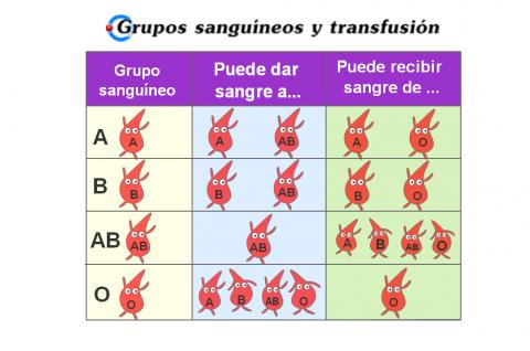 ilustracion Grupos sanguíneos
