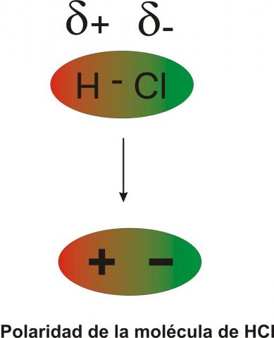 ilustracion Molécula polar HCl
