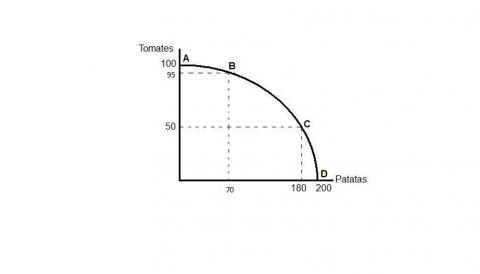 ilustracion Gráfica que representa la frontera de posibilidades de producción
