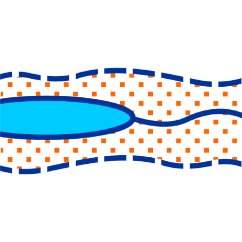 ilustracion Cauce seco