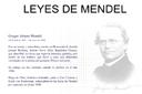 Descripción de las leyes de Mendel