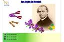 Las Leyes de Mendel