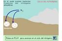 El ciclo del nitrógeno