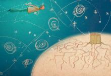 ilustracion El principito: Los hombres sin raíces