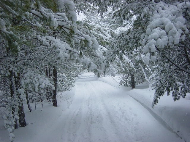 Fotografía de un camino nevado