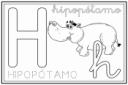 ilustracion Letra H: hipopótamo